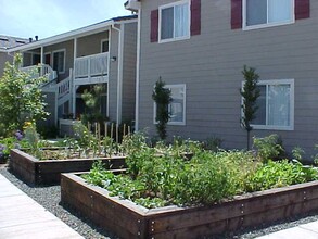 Vintage Brook- 55+ Senior Apartment Homes in Concord, CA - Building Photo - Building Photo