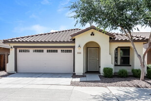 1084 S Olympic Dr in Gilbert, AZ - Building Photo