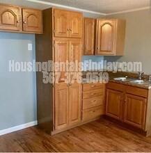 412 E Pearl St in Findlay, OH - Building Photo - Building Photo