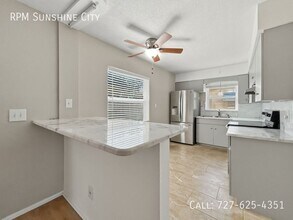 10838 87th Ave in Seminole, FL - Building Photo - Building Photo