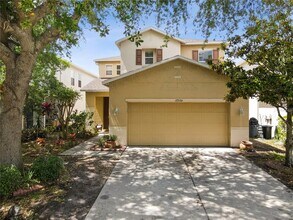 17539 Balmaha Dr in Land O Lakes, FL - Building Photo - Building Photo