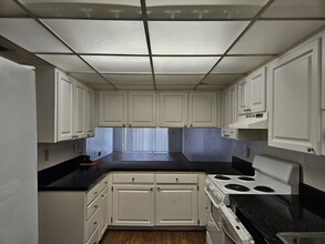 3505 Tarpon Woods Blvd, Unit Vanita in Palm Harbor, FL - Foto de edificio - Building Photo