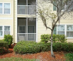 18425 Bridle Club Dr in Tampa, FL - Building Photo