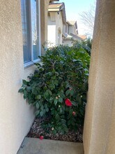 3014 Great Egret Way in Sacramento, CA - Building Photo - Building Photo