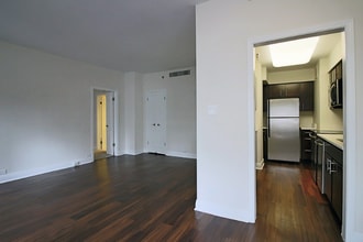 210 E Chestnut St in Chicago, IL - Building Photo - Building Photo