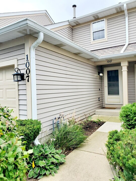 1007 Horizon in Lake In The Hills, IL - Building Photo