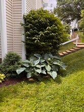 2919 S Woodley St, Unit B in Arlington, VA - Foto de edificio - Building Photo