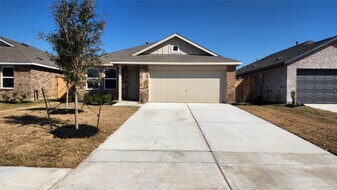 6418 Begonia Trellis Dr in Park Row, TX - Building Photo
