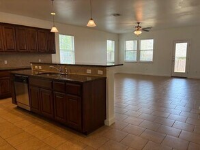 183 Blossom Vly Strm in Buda, TX - Building Photo - Building Photo