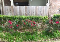 8100 Cambridge St photo'