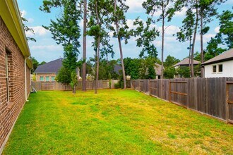 323 Fanpalm Ct in Willis, TX - Building Photo - Building Photo