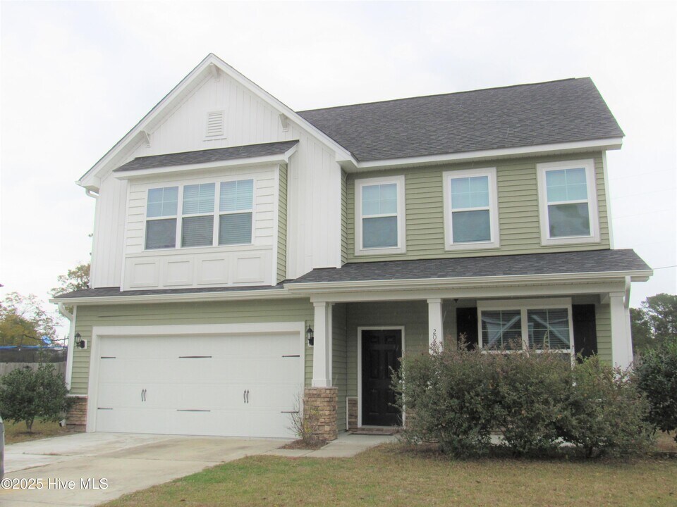 202 Spoonbill Ct in Swansboro, NC - Building Photo
