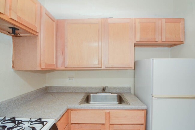 1167 N Dearborn St in Chicago, IL - Building Photo - Building Photo