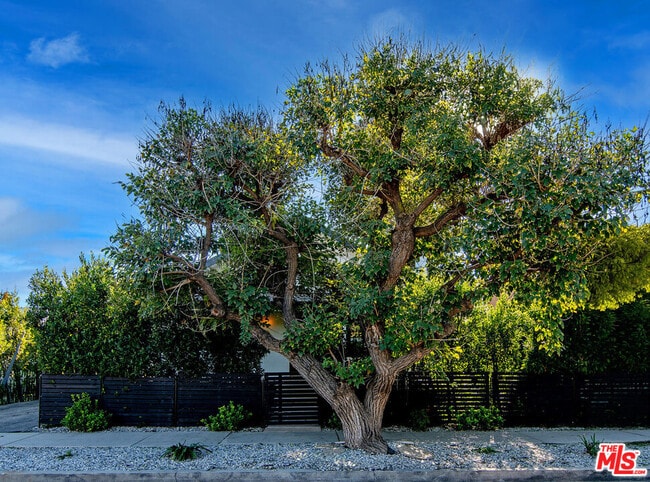 13220 Erwin St in Los Angeles, CA - Building Photo - Building Photo
