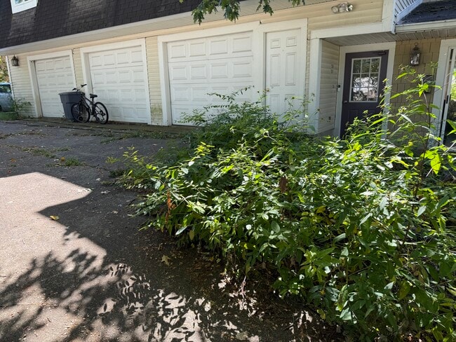 297 High St, Unit 301 in Wadsworth, OH - Building Photo - Building Photo