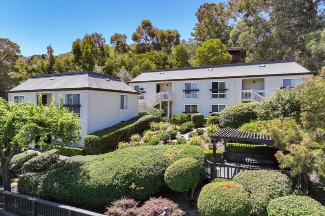 Park Hill in San Rafael, CA - Building Photo - Building Photo