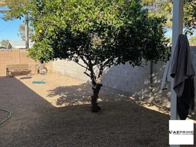 6820 E Avalon Dr in Scottsdale, AZ - Building Photo - Building Photo