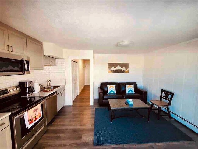 330 La Bonte St in Dillon, CO - Building Photo - Building Photo