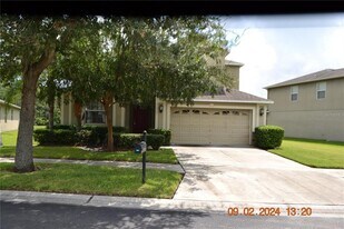 20509 Carolina Cherry Ct in Tampa, FL - Building Photo