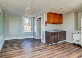 119 Pine Ave in Rochester, PA - Building Photo