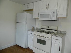 167 Pleasant St-Unit -A in Bristol, NH - Building Photo - Building Photo