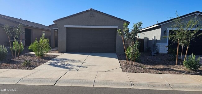 3049 Hayden Rose Ave in San Tan Valley, AZ - Building Photo - Building Photo