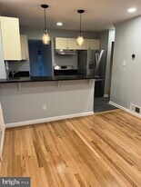 11604 Galt Ave in Silver Spring, MD - Building Photo