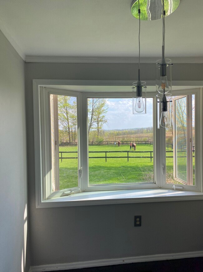 6871 W Sorrell Hill Rd Rentals in Warners, NY