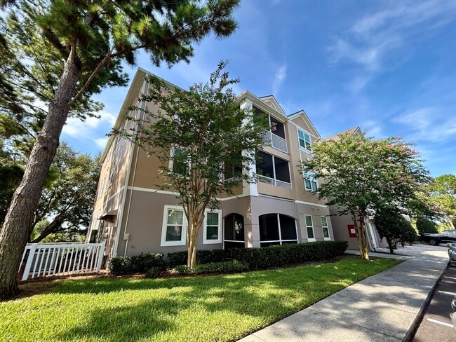 property at 3384 Corona Village Way