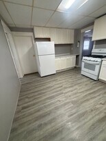 217 W North St in Plano, IL - Building Photo