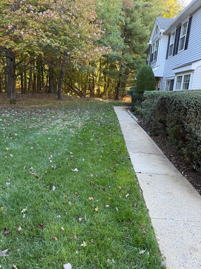 property at 975 Lily Ct