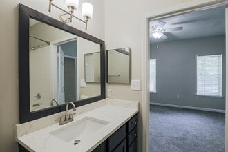 Villas at Princeton Lakes in Atlanta, GA - Building Photo - Building Photo