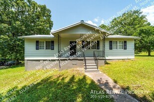 3940 Davis Ln in Pinson, AL - Building Photo