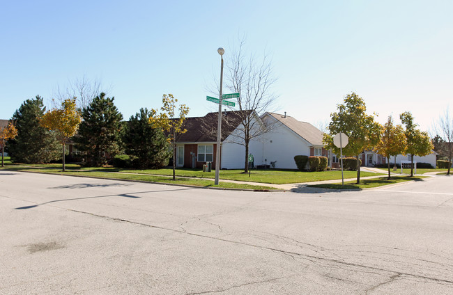 Silver Oaks At Waterford in Aurora, IL - Building Photo - Building Photo