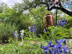 6401 Woodcrest Dr in Austin, TX - Building Photo - Building Photo