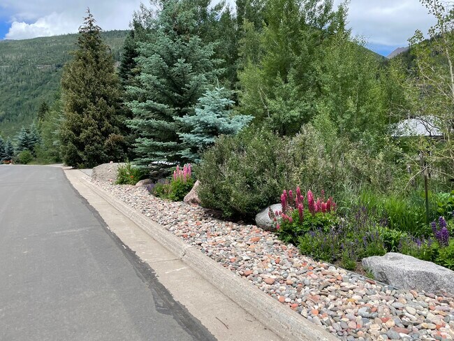 3897 Lupine Dr in Vail, CO - Building Photo - Building Photo