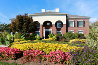 Waterford Square Apartments in Charlotte, NC - Building Photo - Building Photo