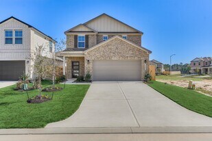 282 Brazen Forest Trl in Magnolia, TX - Building Photo