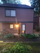 11705 S Briar Patch Dr in Midlothian, VA - Building Photo