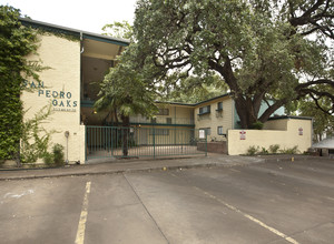 San Pedro Oaks in Austin, TX - Building Photo - Building Photo