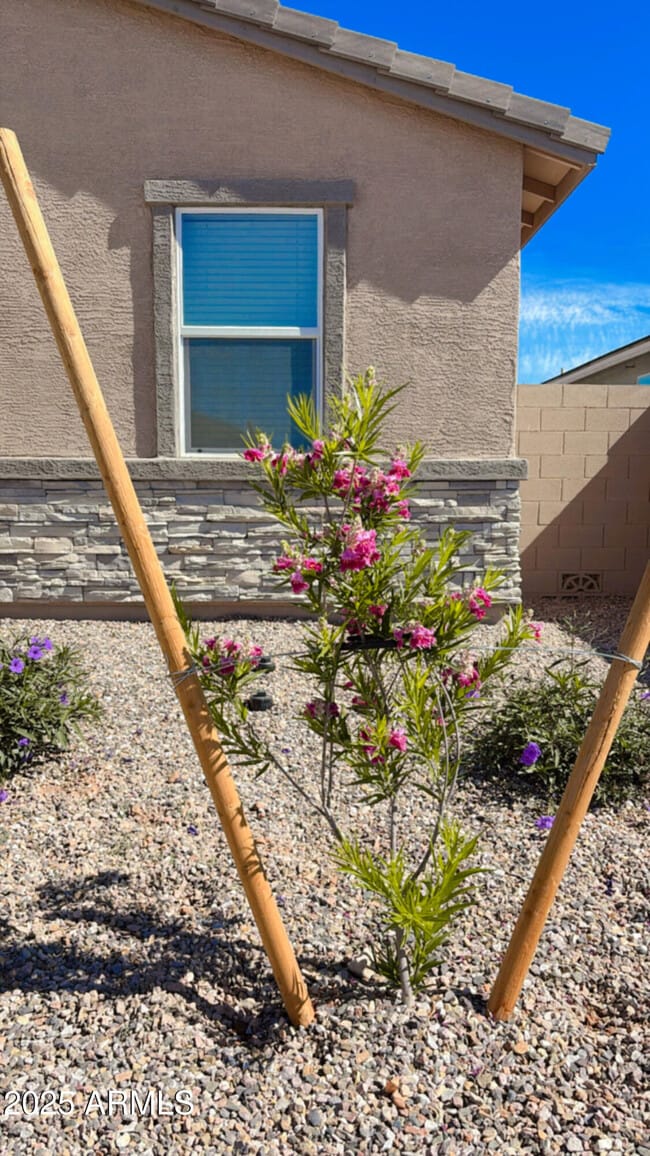 3346 Audrey Dr in Queen Creek, AZ - Building Photo - Building Photo