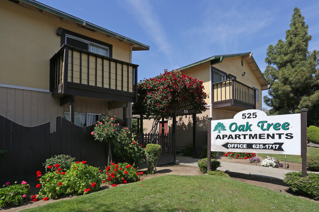 Oak Tree Apartments in Visalia, CA - Building Photo