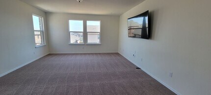 4421 Venticano Pl in Round Rock, TX - Building Photo - Building Photo