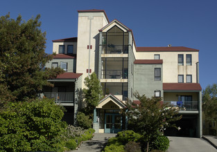 Jean Heights in Oakland, CA - Building Photo - Building Photo