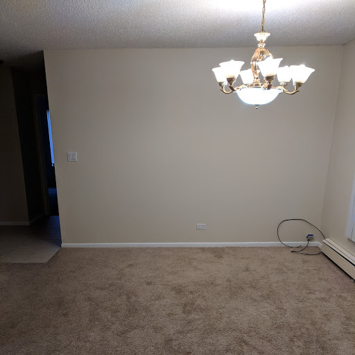133 N Gregory St, Unit Unit#12 in Aurora, IL - Building Photo