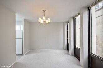 100 E Walton Pl in Chicago, IL - Building Photo - Building Photo