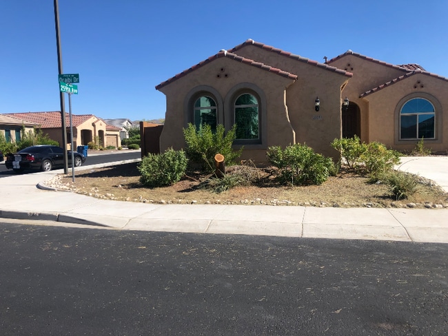 25931 W Oraibi Dr in Buckeye, AZ - Building Photo - Building Photo