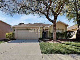 6019 Blue Sage Dr in Land O Lakes, FL - Building Photo
