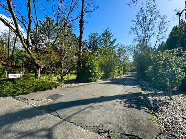 605 Pope St in St Helena, CA - Building Photo - Building Photo