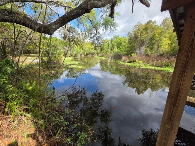 16129 County Road 448 in Tavares, FL - Foto de edificio - Building Photo